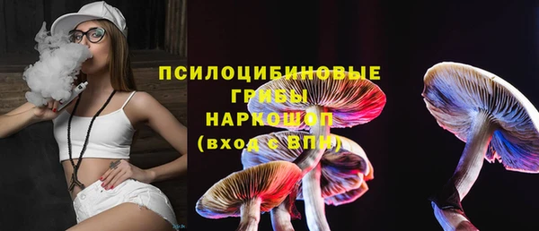 дживик Заволжье