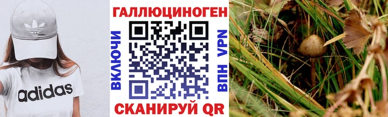 Купить где  Малоярославец  Галлюциногенные грибы Magic Shrooms 